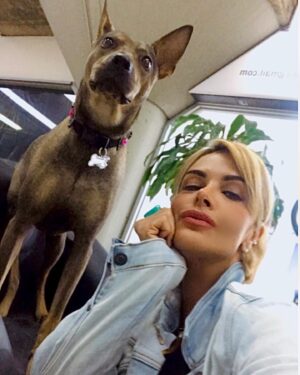 Christina Dieckmann Instagram - NEW 🤩 Estilosos Collares Caninos, para las consentidas de la casa!🤩🥰🐶🙌🏻 Design by Christina Dieckmann #arte #art #hechoamano #tendencia #modacanina #modacaninavenezuela