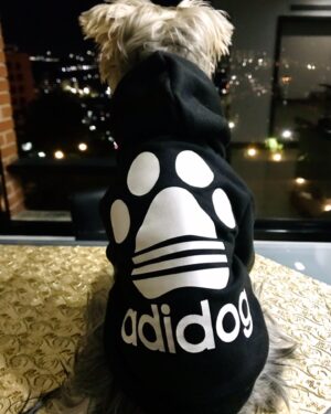 Christina Dieckmann Instagram - Mi THOR 💙🐶 Bello Bello!Modelando su suéter Adidog🐾 de @mascotichis “ Ropita para tu peludito! Siempre a la moda.” #caracas #venezuela