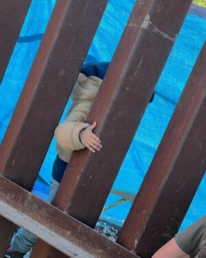 Christina Pascucci Instagram - I spent Friday at our southern border. Addressing the border crisis is a top priority for me. This is both a humanitarian and national security crisis that continues to unfold daily. Our broken system makes both migrants and Americans less safe. I’ll share more of my plan in the coming days.

Thank you to both @BorderPatrol and Mexican officials @davidptp07 @gustavotorres104 for sharing incredible insight into how the US   Mexico can better work together to solve what I believe is a solvable problem. We just need the political will and to stop denying there is, in fact, a serious problem.