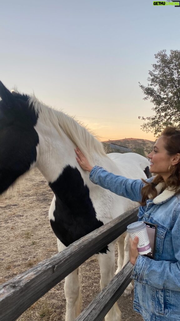 Christina Ochoa Instagram - Weekend barn dances, horses, dogs and laughs.