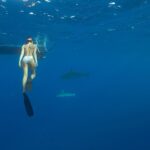 Christina Ochoa Instagram - 🪸 “Nuestros cuerpos escurridizos de algas…” . 🦈@expeditionsrogue @oceana
