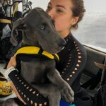 Christina Ochoa Instagram – #LOML 💙 Kainu is my favorite diving buddy. Do you guys have pets? What are their names?
@greatishdane