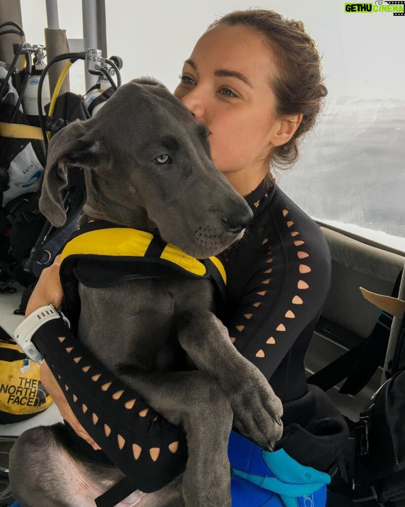 Christina Ochoa Instagram - #LOML 💙 Kainu is my favorite diving buddy. Do you guys have pets? What are their names? @greatishdane
