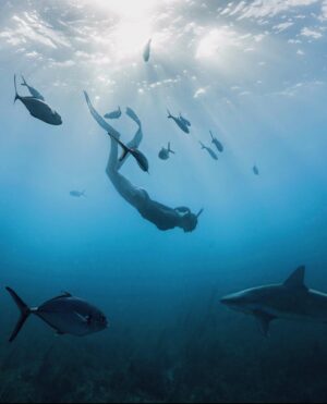 Christina Ochoa Instagram - Enfoque, presencia y perspectiva 🦈 
📷: @chriscameron.cc @reefhunter @coastalcowboyofficial cc @expeditionsrogue @abysseofficial