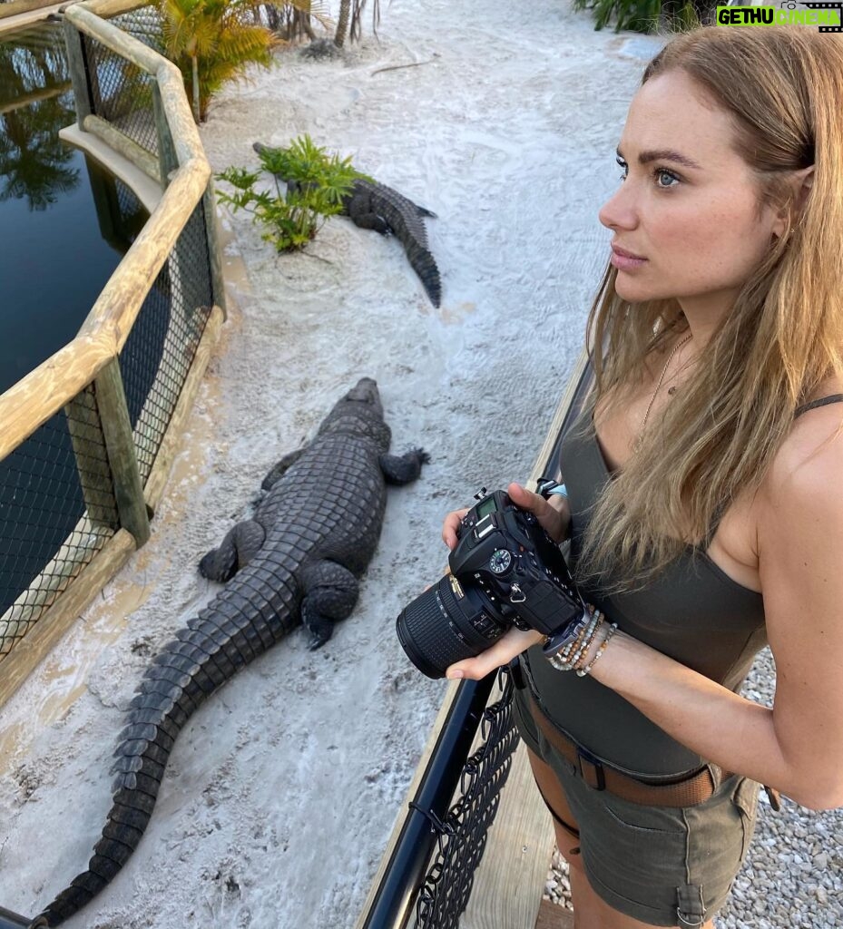 Christina Ochoa Instagram - Curious about crocs? 🐊Check out conservation & educational work of @primitivepredators on their page. 💚📷 @chriscameron.cc @coastalcowboyofficial #wildlifework #wildlife #conservation #stemeducation