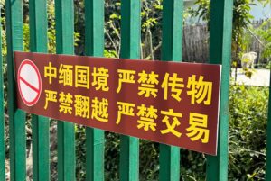 Christine Lo Instagram - 趁我還沒忘記要發文