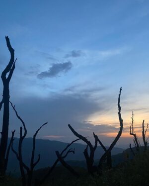 Chum Darang Instagram - My North-East is diamond💯❣️
Some of my favourite pictures from the trip, Assam & Nagaland.

#dzüko #dzukuo #kaziranga #northeast