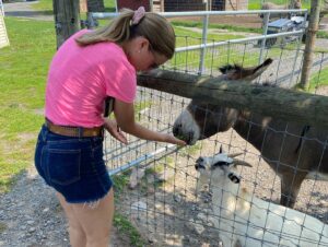 Cindy Busby Instagram - Animals bring me so much peace 🥰🙏✨ 
#farmlife #donkeylove #goatlife #love