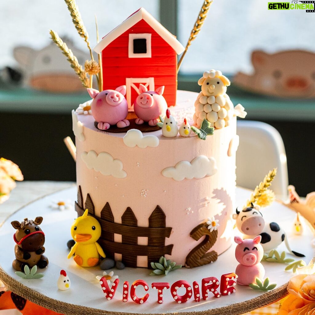 Cindy Poumeyrol Instagram - 2 ans de Victoire sur le thème : les animaux de la ferme 🐷 🐮 🚜 Decoration @mylittleday Gateau @lateliersweetcakes Photographe @camillepiovesan Publicité