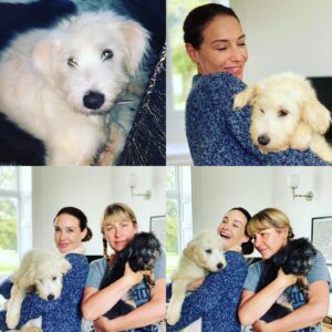 Claire Forlani Instagram - Today the dog we’ve been waiting for arrived in our lives. She came from Romania was going to be poisoned with her sister but got saved &  brought to the UK & put in the incredible hands of @goodheartanimalsanctuaries & @wiccaweysrescuedbordercollies .The angels that are 😇 😇😇😇@rachelfullertownshend & Paul & Sarah and the crew at @wiccaweysrescuedbordercollies @wiccaweyschitchat & DJ @goodheartanimalsanctuaries  made it possible with their love , care and passion to save animals & get them loving & safe homes . My family and I are so grateful to them all & it took less than 5 mins  to fall in-love with our girl 🐾❤️🐾❤️🐾❤️🐾 THANK YOU  You can donate to either of these incredible rescues by going to their insta pages. They really are two of the BEST! ❤️ & Rach thank you & thank god you’ll talk about dogs and send me photos all night long of the dogs and let me do the sameXxxx