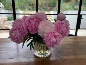 Claire Forlani Instagram - #Flowers  #SmallThingsHelp 💕🌸💕🌸💕🌸💕🌸💕
