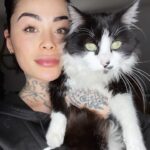 Claire Tomek Instagram - LE RETOUR 😼 Quelle histoire incroyable quand même.. pour ceux qui ont raté la story je vous raconte ! Mon chat avait disparu depuis une semaine. J’avais réussi à le garder « enfermé » après l’emménagement mais comme il a l’habitude d’être dehors plus qu’à l’intérieur ça frôlait la séquestration et il a profité d’une porte qui s’entrouvre pour aller dehors. J’ai mis la litière dehors, avec des croquettes. Pire que les poules j’appelais aux aurores et au coucher du soleil 😂 Affichettes, annonces bref la totale ! Le gars était recherché partout .. Étant de nature très cartésienne, on m’avait déjà parlé de la communication animale mais je dois avouer que j’y croyais pas trop .. pour moi y’a que Dr Doolitle qui parle aux animaux 😅 Pas mal d’entre vous m’ont dit qu’apparemment ça pouvait marcher alors je me suis dit « au pire Martial me dira encore que je suis un peu chtarbé et que là j’ai touché le fond » 🤷🏻‍♀️ Je contacte une dame super gentille qui me demande une photo du chat et de la nouvelle maison pour lui « projeter » et lui dire de rentrer .. ÇA PARAÎT FOU JE SUIS D’ACCORD mais attendez ! Elle me dit que mon chat n’est pas loin, qu’il n’est pas en situation d’inconfort ( froid faim blessure) et qu’il lui a montré ce qu’il y’avait autour de lui. Là elle me décrit la piscine ( jusqu’au détail de la bâche mal mise ) et la haie du voisin ( invisible sur la photo que j’ai envoyé) Bon je suis un peu sur le 🍑 Encore 2 jours passent et toujours rien même en faisant le tour de la ville et en l’appelant. Là elle me dit « attendez je vais essayer de connecter votre chien et votre chat ( comme des tamagoshi 😂) et essayer d’encourager votre chien à trouver votre chat dehors » Je lui dis que ça me parait impossible vu que ROX a sûrement plus peur de l’extérieur que le chat actuellement 😓 mais elle m’assure qu’il est hyper content qu’on lui confie cette mission et qu’il faut lui faire confiance. Trop bizarre ROX me demande à sortir 5/6 fois dans la soirée chose qu’il ne fait jamais ! Et à 1h du mat il aboie et gémit en s’excitant sur la haie du voisin .. et la .. Billy boss ! Alors coïncidence ou pas ? Moi j’y crois de ouf maintenant. Et vous ?