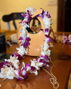 Clara Wilsey Instagram - Got to be a part of a Hawaiian love story 😍
Congrats to Mr and Mrs Hughes!! 🌺❤️
(Swipe to see me loving adventure)