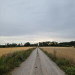 Clara Henry Instagram - Ett meddelande från näsblod, feberkänningar och fötter i högläge: ALLT VAR VÄRT DET. Har absolut för lite distans till gårdagen, gårdagsnatten och förrgår för att kunna beskriva det rättvist, men allt jag vet är följande tre saker: 1. 235 530:- till @sverige_for_unhcr !!! Ni är otroliga. Tack är ett för fjuttigt ord för att beskriva allt stöd vi fått. Alla swish till bössan, biltut på vägarna, hejarop från stugorna, stödsamtal hemifrån, resorb/gifflar/kramar från följebilarna. Blir rörd. Det är otroligt svårt att göra något sånt här helt ensam. 2. Det tar 36 och en halv timme att, med strejkande fot och höft (jag) och strejkande mage (Max) ta sig 160 km från Ölands sydligaste till nordligaste punkt. Det hade gått betydligt långsammare på egen hand. @maxpisano, du är en stjärna i ordets sanna bemärkelse, och utan din ständiga påminnelse om att vi är krigare som krigar så hade jag hamnat på en väldigt mörk plats. Jag är så imponerad av dig, herregud. Tack för resan <3 3. Jag trodde aldrig att det skulle gå att springa 160 km. Eller jo såklart litegrann för dels är ju hoppet det sista som dör och dels är man ju en optimistisk idiot. Men att tro PÅ RIKTIGT, utan att en liten röst säger "fast...?". Men det gick. Det gjorde jävligt ont och jag har gråtit hejdlöst men det gick och allt, ALLT var värt det.