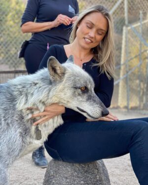 Clare Grant Instagram - Fell in love with a pack of wolves and now I’m ready go full on Princess Mononoke. 🐺 Thank you @apexprotectionproject for rescuing these wonderful creatures and giving them a safe life full of love and compassion. We are so appreciative of all you do! Everyone should check out @apexprotectionproject and see all of the great work they do.