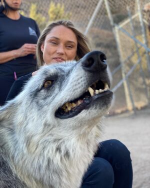 Clare Grant Instagram - Fell in love with a pack of wolves and now I’m ready go full on Princess Mononoke. 🐺 Thank you @apexprotectionproject for rescuing these wonderful creatures and giving them a safe life full of love and compassion. We are so appreciative of all you do! Everyone should check out @apexprotectionproject and see all of the great work they do.