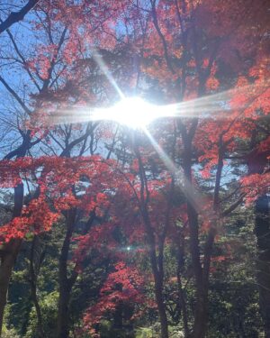 Clare Uchima Instagram - December in Tokyo ❤️
やっぱり日本はいいな😊