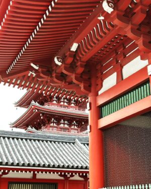 Clare Waight Keller Instagram - More from my favourite home from home Tokyo. 

1. Skywalks which cross the highways around Shibuya
2. My favourite late night walk alongside the commuter train tracks from Shibuya
3. Tired eyes needing those glasses more and more on the morning commute 
4. Uniqlo City
5. Ultimate weekend Zen @nezumuseum #tokyo  entrance goals
6/7. Endlessly addictive watching these graceful fish with the leaves just starting to turn 
8/9/10. The weekend shrine visit ♥️

#tokyo #zen #city #travel