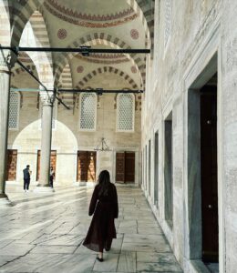 Clare Waight Keller Instagram - Post Tokyo - a quiet trip away to beautiful Istanbul 🩵 some of the things I loved from a couple of weeks ago 1. Best way to see the city - A quick snapshot from the tram that runs over the Bosphorus 2. Hidden in a tiny alleyway stunning blue tiled Mosque 3. Unexpected lushness of tiles and rich carpet 4. Rooftops 5. Marbled courtyards 6. Incredible ancient underground waterways at the Basilica 7/8/9. Harem dream 10. The cat’s eye