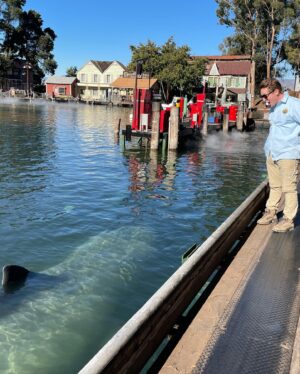 Claudia O'Doherty Instagram - Here are some extremely candid behind the scenes pictures from season two of ‘Killing It’. We shot at Universal Studios, which is home of my favourite actor of all time, Jaws. First pic is not Jaws obviously, it’s a shark that took the fall for Jaws at the beginning of the movie. The video is Jaws herself, then some stolen early morning glimpses of Jaws. Also included is the time I forced Beck Bennett to come and look at Jaws during lunch, and my heartwarming Jaws birthday. Have you watched ‘Killing It’ yet? It’s on @peacock @stanaustralia @showcasetv and something in New Zealand. If anyone tries to correct me about any of these Jaws details in comments, I’ll have your accounts deleted ❤️❤️❤️❤️
