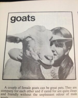 Claudia O'Doherty Instagram - This small girl promoting goat ownership is not me
