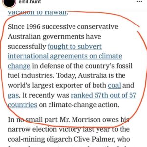 Claudia O'Doherty Instagram - If you have any spare money, click the link in my bio to donate to the Rural Fire Service. The Australian government is not funding them properly, so donations are very helpful and needed. @celestebarber is raising money from her page, which may be easier for international people to donate to. @wireswildliferescue are helping the animals we have left. If you are able to donate, thank you very much!