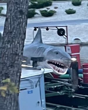 Claudia O'Doherty Instagram - Here are some extremely candid behind the scenes pictures from season two of ‘Killing It’. We shot at Universal Studios, which is home of my favourite actor of all time, Jaws. First pic is not Jaws obviously, it’s a shark that took the fall for Jaws at the beginning of the movie. The video is Jaws herself, then some stolen early morning glimpses of Jaws. Also included is the time I forced Beck Bennett to come and look at Jaws during lunch, and my heartwarming Jaws birthday. Have you watched ‘Killing It’ yet? It’s on @peacock @stanaustralia @showcasetv and something in New Zealand. If anyone tries to correct me about any of these Jaws details in comments, I’ll have your accounts deleted ❤️❤️❤️❤️