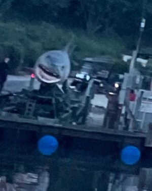 Claudia O'Doherty Instagram - Here are some extremely candid behind the scenes pictures from season two of ‘Killing It’. We shot at Universal Studios, which is home of my favourite actor of all time, Jaws. First pic is not Jaws obviously, it’s a shark that took the fall for Jaws at the beginning of the movie. The video is Jaws herself, then some stolen early morning glimpses of Jaws. Also included is the time I forced Beck Bennett to come and look at Jaws during lunch, and my heartwarming Jaws birthday. Have you watched ‘Killing It’ yet? It’s on @peacock @stanaustralia @showcasetv and something in New Zealand. If anyone tries to correct me about any of these Jaws details in comments, I’ll have your accounts deleted ❤️❤️❤️❤️