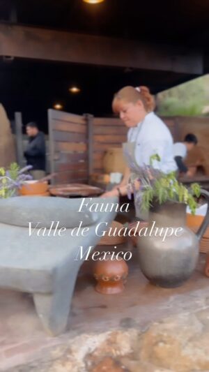 Claudia Sandoval Instagram - Last night we enjoyed a terrific meal at @faunarestaurante at the hands of @davidcastrohussong and @maribelaldaco @lulumtzojeda and teams. Feeling blessed to not only know these incredible human beings, but feeling inspired by the incredible meal, pairings, and awards they brought to our motherland. What hometown pride. 🙌🏼 have you been?