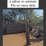 Claudia Campolina Instagram - Todos os perfis pra ajudar, doar ou ter mais informações estão marcados, só clicar em cima