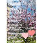 Claudia Galanti Instagram - 21/03/2021💕 #indilacarolina