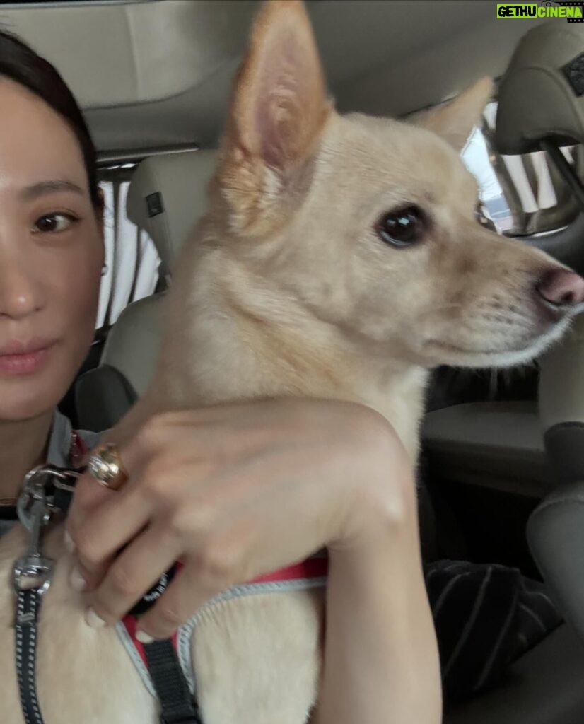 Claudia Kim Instagram - wherever I go, she follows 🐕