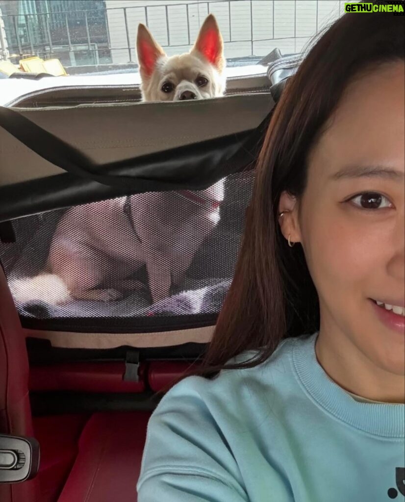 Claudia Kim Instagram - wherever I go, she follows 🐕