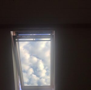 Clémence Poésy Instagram - “... it is a serious thing

just to be alive
on this fresh morning
in the broken world...” Mary Oliver