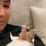 CoCo Lee Instagram - I couldn’t believe he gave me a kiss!!!!!!🐰🐰😘#bunny #kisses #minirabbits