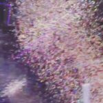 CoCo Lee Instagram - One of my favourite moments at my concert! Totally craziness n joy... All of our hearts were connected..... #happiness #myfans #loveuforever #encore #lovewons #cocolee #bestfansintheworld #you&Iconcert
