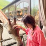 CoCo Lee Instagram - LOVE & FAITH ~my 2 favorite words that I carry strongly in my heart which I desperately needed to get thru this incredibly difficult year. Life seemed unbearable at times but I adapted the attitude of a “female warrior” to face them head on fearlessly but always had the biggest smile and big fat laughters! Strength, courage, n bravery is within all of us so use them. U will gain most precious “Wisdom“ which will change ur perspective on life from here onward. Be a hungry mind that constantly wanna learn n grow and to gain a treasure chest of wisdom. My goal in 2023 is to share my life story n how i faced major life changing hurdles n still manage to keep a positive attitude. I am happy to say I am finally living the real me. It’s the best feeling n I’m grateful everyday to be alive n I get to share my thoughts with u. My dear friends… Be U n Live U! Remember there’s only 1 of u in the world, u r one of a kind💖. Life can be too short so dare to dream big! Everything in life is a choice so choose what brings u joy n meaning. Say bye bye to 2022, n farewell to all the shit that happened. In 2023~Live a life of good intentions, truth, have faith in what u do, SMILE n choose happy!!! Be a winner, not a victim. Don’t take things personal, never judge a book by it’s cover, do care about the suffering of others n try to help if u can, love our Mother Earth, be a good listener, gain wisdom, and have abundance of love to give to others. Be the boss of ur own life. Stand up for something u believe in. Be an influential figure to inspire people. And keep Spreading LOVE & POSITIVITY everywhere. I’m a female warrior baby! Just like The Great Wall of China I will never fall. If I can overcome anything, so can u! You are not alone, no matter how hard life gets, I’m with u. #newyear #newbeginnings #bestrong #beyourself #loveyourself