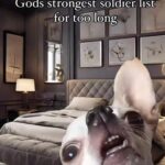 Cocoa Brown Instagram - All I know is I'm a five star general in the Lords Army and I will be addressed accordingly and my child is a first lieutenant don't play with me. We've been through the battle and we've come out alive. ❤️💯😂❤️#whatwasmeanttohurtmemakesmestronger #strongerforit #onedayatatime #throughthefire #literally #phoenix #risinglikeaphoenix #mymuse