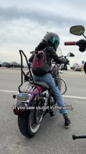 Cody Renee Cameron Instagram - Hi 👋 Don’t be rude, say it back! 🤩 Follow @ironponyshow for more doggo motorcycle adventures! 🐶 🏍️⚡️ Vid cred @jigger.la #motorcycledogs #bikerdogs #dogsofinstagram #dogsonbikes #doggles #dogsinbags #malibu