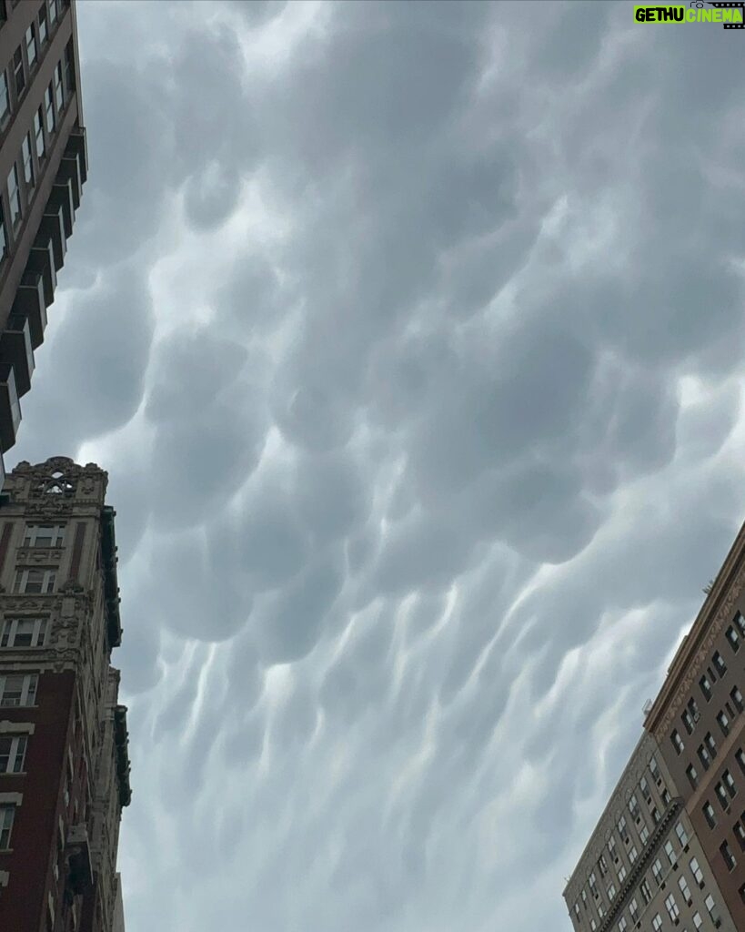 Conor Leslie Instagram - just a little bit of july: 1. Before I overheated in a New York apartment that didn’t have AC 🛸 2. One of my favorite sounds / specifically as a familiar New York City soundtrack. 3. Where roo’s name comes from 4. Mammatus clouds😍?! 5. It really does. Try it sometime. 6. Cuz it Feels 🦆ing great 7. @whatsrooandjunoupto 8. this is pure. 9. friends make me smile big big. 10. Howl often.