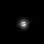 Conor Leslie Instagram - The temptation to add the song “Blue Moon” to this video of the “Super Blue Moon” tonight is obviously tempting. But. To be able to hear the wind (which was almost too epically on brand for a full moon energy tonight), the people laughing, crickets, and dogs barking in the New York City background… is a gift. And it felt weirdly disrespectful to edit it. It’s silly enough that we try to capture the moon on our phones, but here we are and here I am too, still in awe from a far. Goodnight 🩵🌕