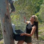 Corinne Foxx Instagram - The moment sweet Donna went home 💚 Thank you to @wildlifewarriorsworldwide & @australiazoo for allowing us to be a part of this precious angel’s homecoming. We are learning so much about the conservation & rehabilitation efforts of these incredible organizations here in Australia. And of course, a huge thank you to the Irwin family for hosting us! @bindisueirwin @robertirwinphotography @terriirwincrikey