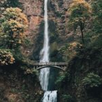 Courtney Hope Instagram - Portland: you were spooky, serene and soul enriching 🍁 Also: comment when you see it 👴🏼🌳😍 #thewisdomtree