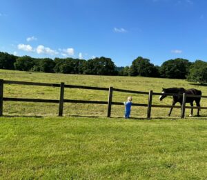 Cressida Bonas Instagram - The boy and the horse… I’m not sure what these two were chatting about, but it looked important 🤔💙✨