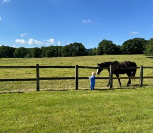 Cressida Bonas Instagram - The boy and the horse… I’m not sure what these two were chatting about, but it looked important 🤔💙✨