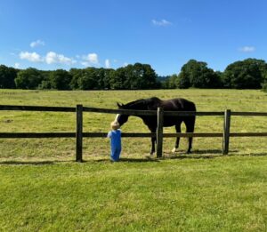 Cressida Bonas Instagram - The boy and the horse… I’m not sure what these two were chatting about, but it looked important 🤔💙✨
