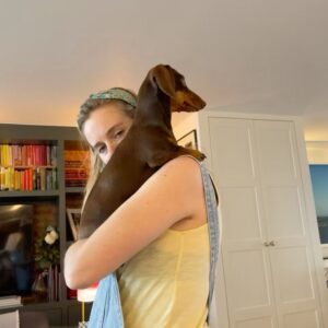 Cressida Bonas Instagram - Happy birthday to the little sausage person ! Always by my side, she has brought so much joy into our lives. 🐾❤️🐾