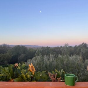 Cressida Bonas Instagram - Mornings in Morocco with my favourite green mug by cousin Livvy @arbala__ - the best kind of green - What a special time at the amazing @dar_arbala 🌞
