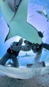 Cristina Zenato Top 100 Instagram Photos and Posts