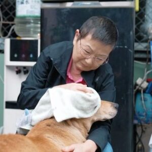 Crystal Yen Instagram - #crystalyenlife 
從小就養狗的我，因為媽媽的關係，一直對於流浪動物特別關注。從高中開始，在路上常常遇到走丟的狗狗，幫他們找回家的路，可能因為太愛狗狗所以走在路上都會跟狗對眼？！那些求助的眼神，我一定放下手邊的任務向前去…

到了大學，也曾固定週末上山到收容所，帶裡面的狗狗出來走走、洗澡、清理犬舍，但當時動物的議題還未興起，在那裡更常的是讓人無能為力的感受，每次上去都是一次對這社會期待的消耗，漸漸地就不再敢上山，不願看到更多難受的故事，只能躲起來跟著媽媽在自己能力範圍裡做對他們有幫助的事…

直到看了十二夜紀錄片，開始重燃流浪動物議題的希望，知道除了我認識的愛媽、志工們，還是有更多人也在為浪浪們盡一份心力！希望人多力量大、也智慧多的能讓這議題被更多人看到！才能受到更多的幫助～

一直很佩服在一線的救援人員、照顧者！這不僅要夠多的愛，還需要強大的身心力量！希望也想盡一份力，或是不瞭解但願意開始瞭解的你，也一起來幫助他們⸜( ˶'ᵕ'˶ )⸝

《張媽媽流浪動物之家 公益救助計畫》 
https://bit.ly/3fX0RT0

@taiwanchangmama 

#張媽媽流浪動物之家
#社團法人新北市流浪貓狗再生保護協會
#讓愛永續
#愛最大